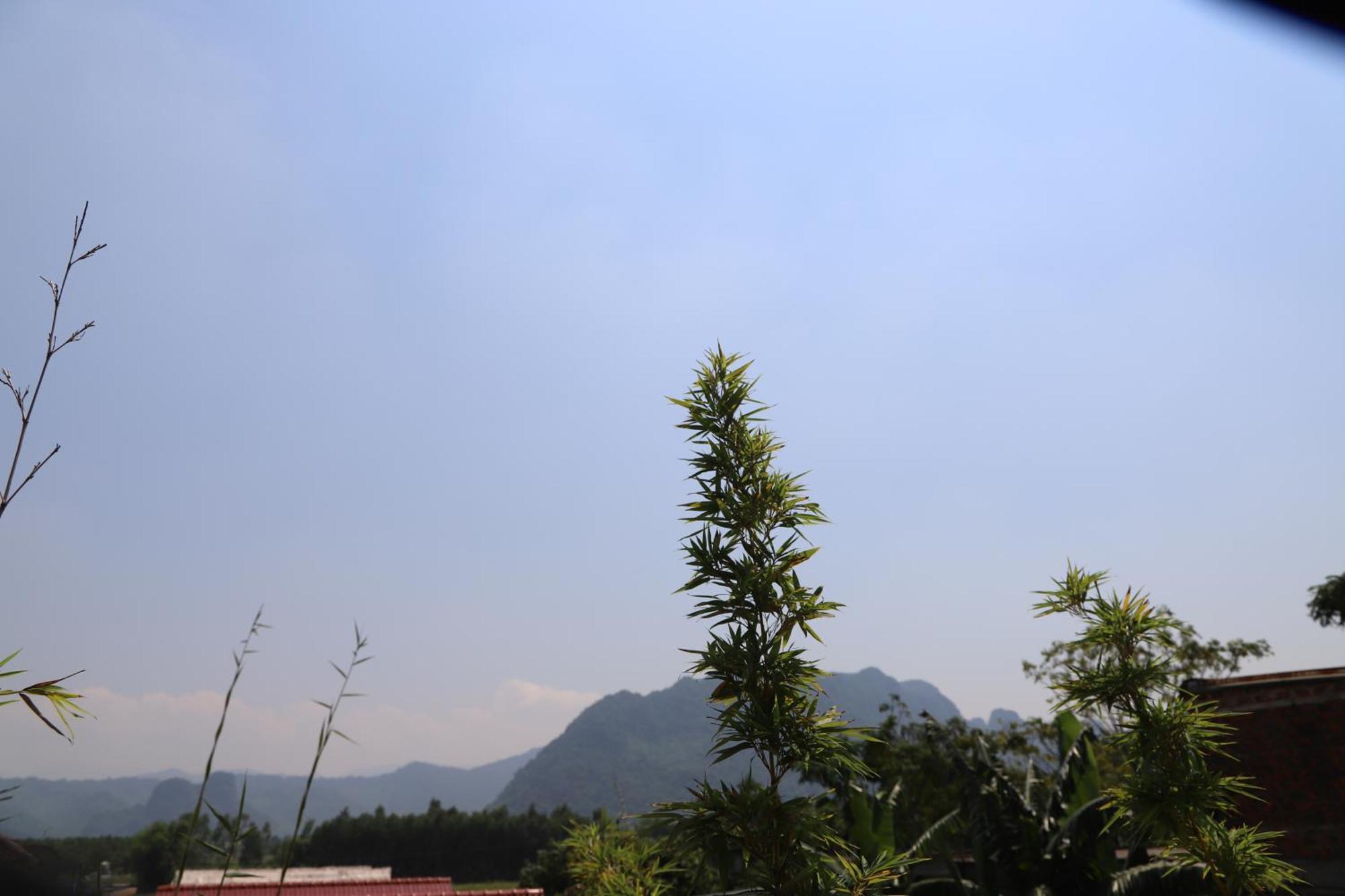 Phong Nha Friendly Home Exterior foto